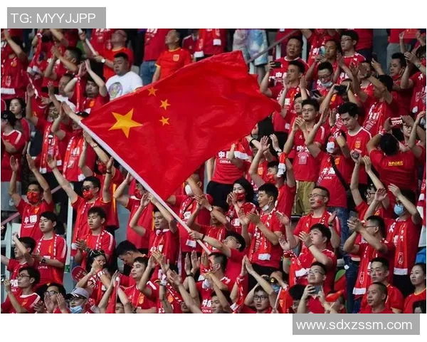 杭州足球队在冠军赛中的精彩表现与未来展望分析 杭州足球队在冠军赛中的精彩表现与未来展望分析