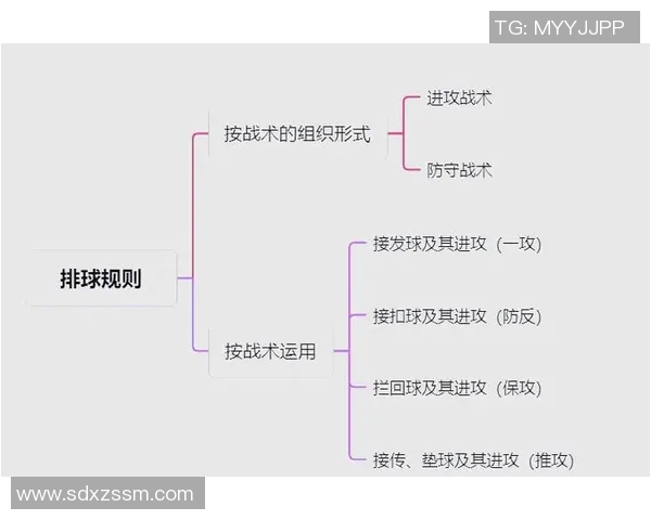 深圳排球队反击战术分析与得失评估探讨 深圳排球队反击战术分析与得失评估探讨