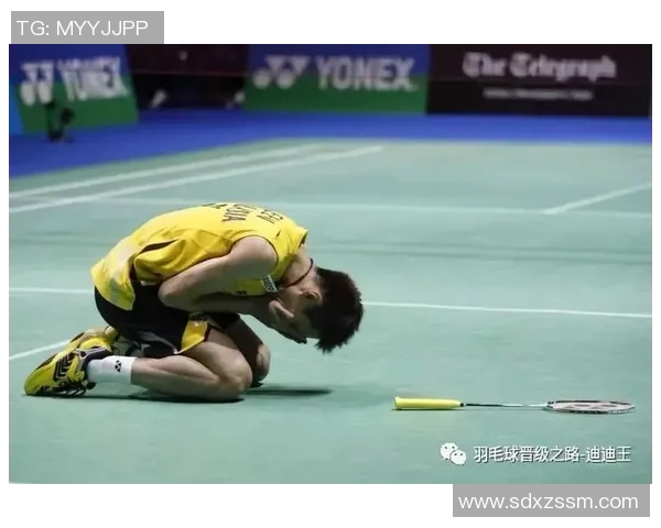 深圳羽毛球队转型之路：从传统强队到现代化发展的新篇章