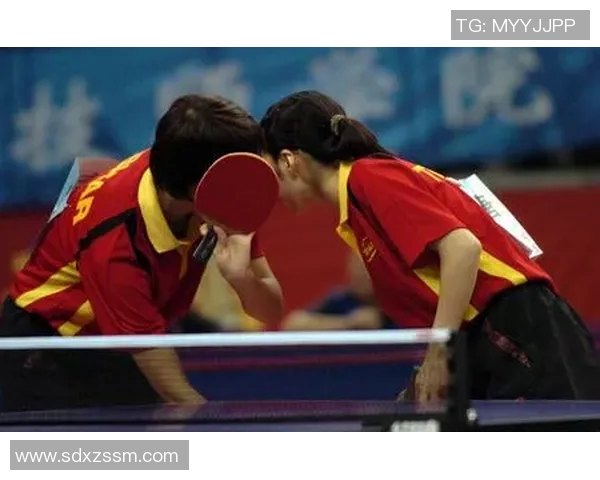 南京乒乓球队在挑战赛中的默契配合与战术执行分析
