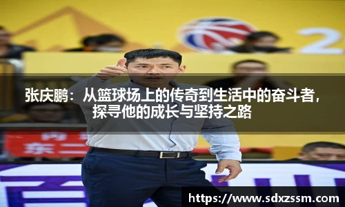 bellbet贝博官网