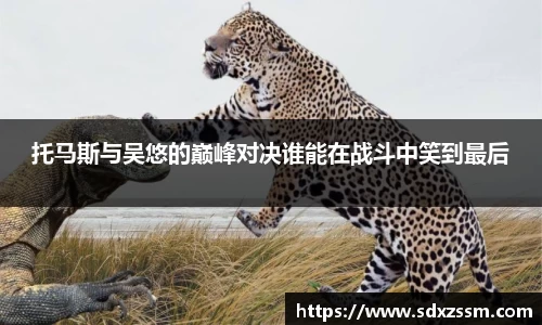 bellbet贝博首页